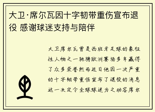 大卫·席尔瓦因十字韧带重伤宣布退役 感谢球迷支持与陪伴